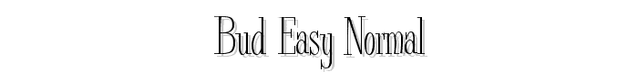 Bud Easy Normal font